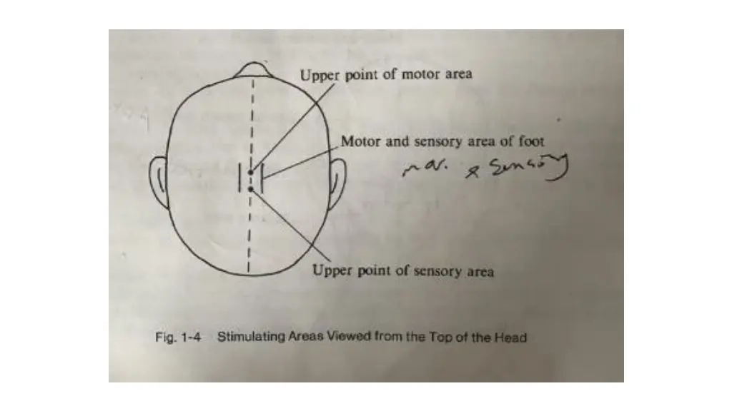 slide24