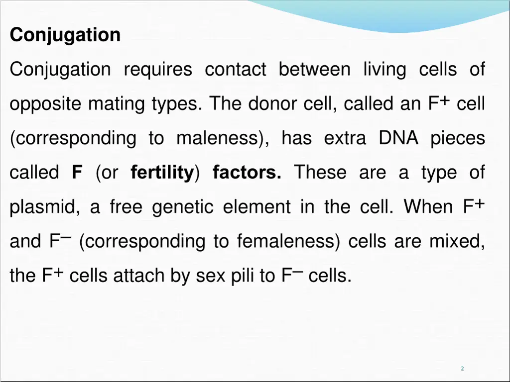 conjugation 1