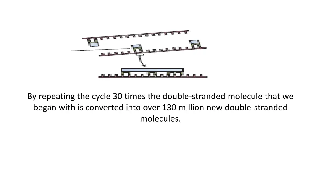 by repeating the cycle 30 times the double