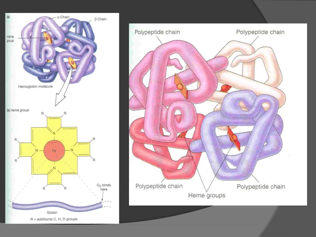 slide25