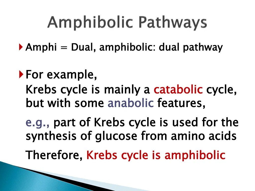 amphi