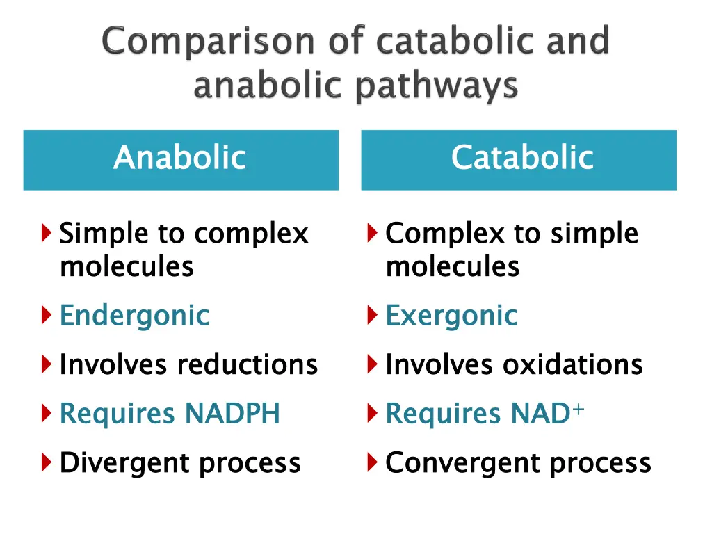 anabolic