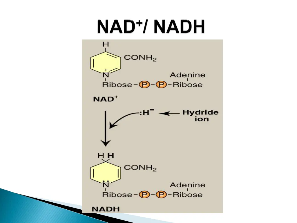 slide18
