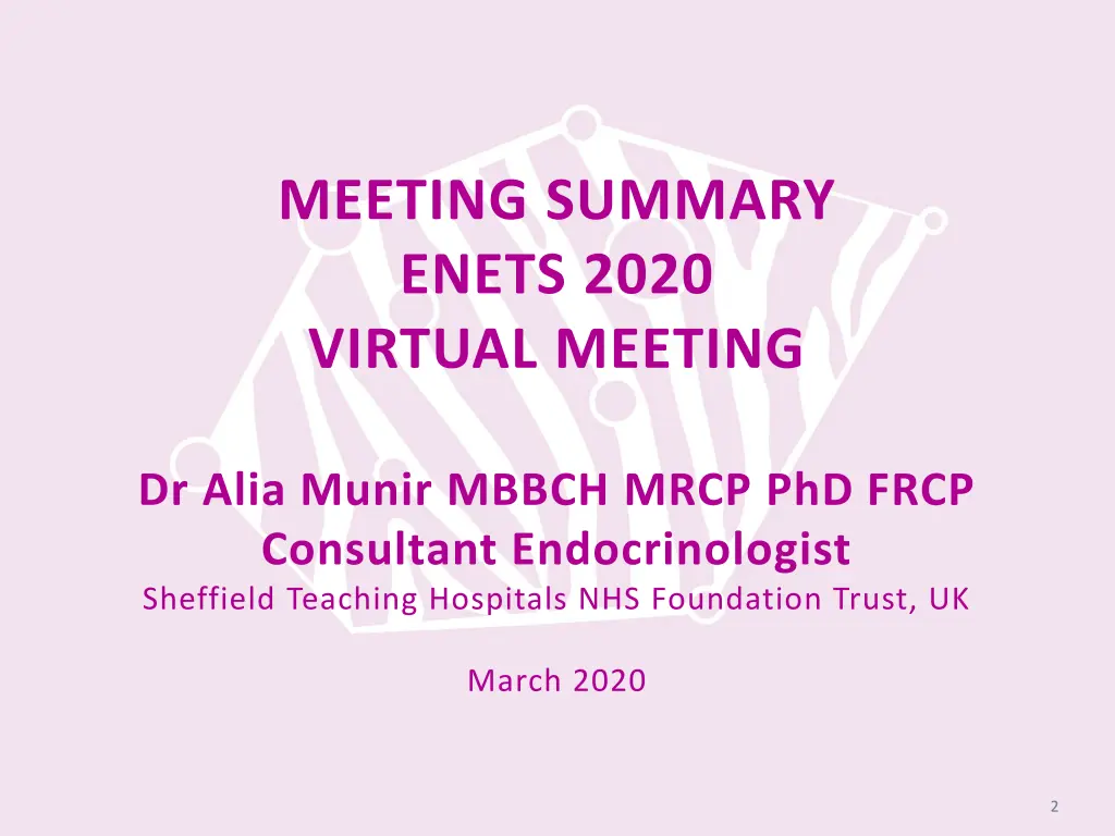 meeting summary enets 2020 virtual meeting