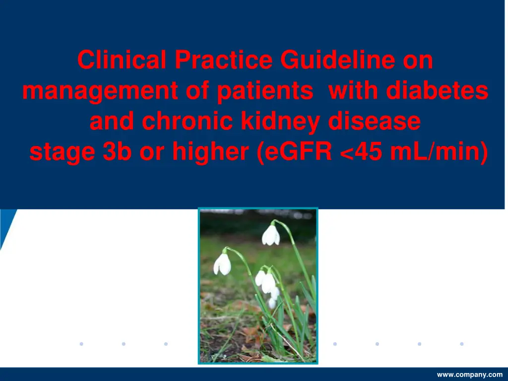 clinical practice guideline on management