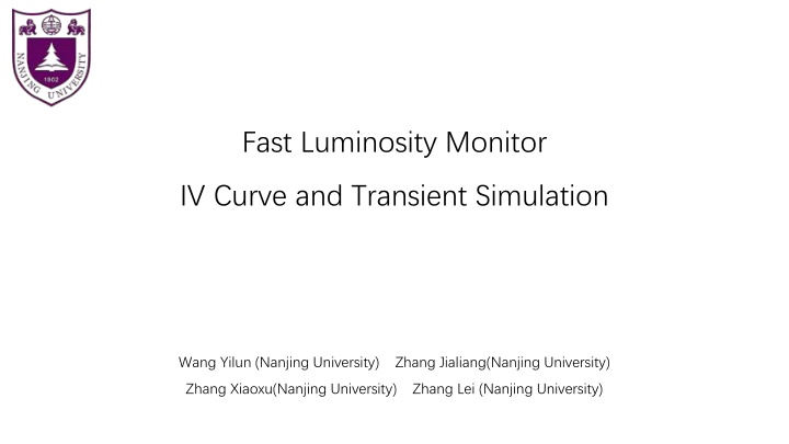 fast luminosity monitor