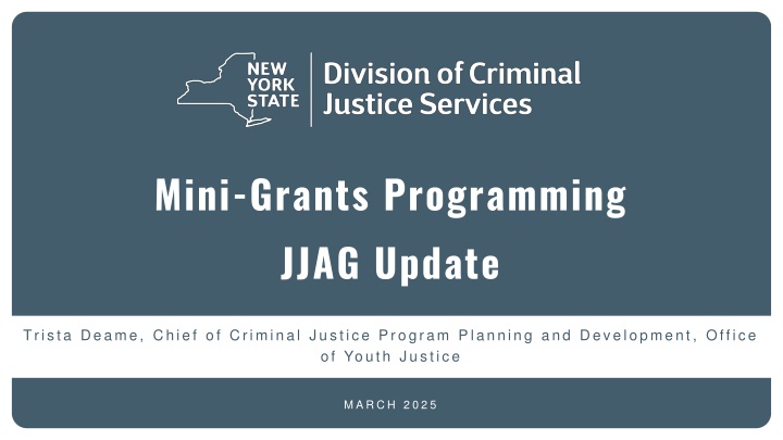 mini grants programming jjag update