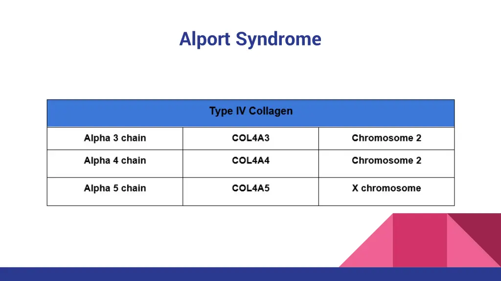 alport syndrome