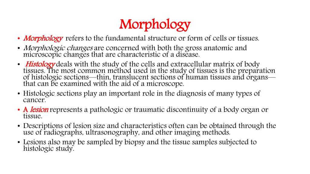 morphology