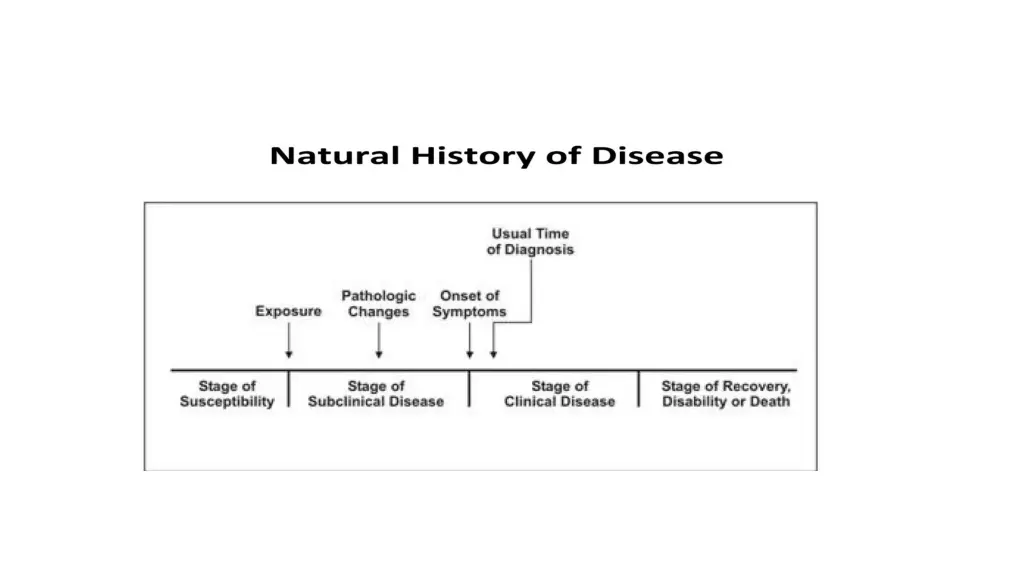 slide11