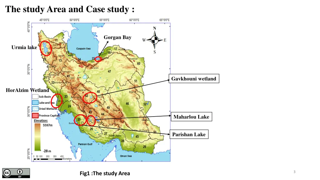 the study area and case study