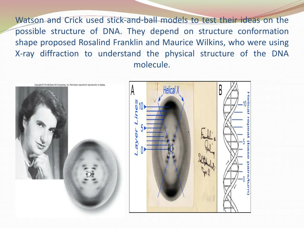 watson and crick used stick and ball models
