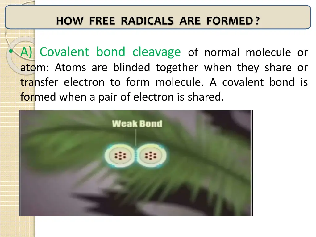 how free radicals are formed