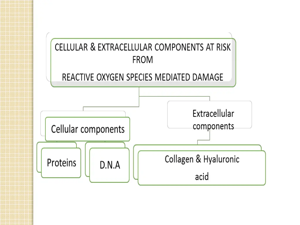 slide12