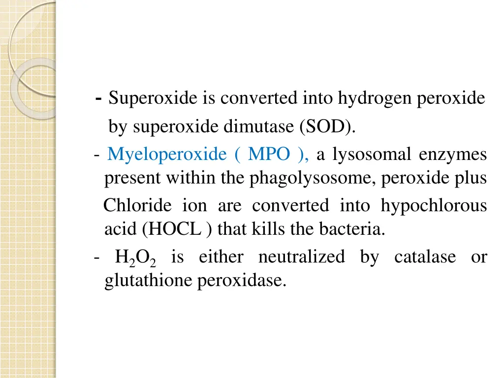superoxide is converted into hydrogen peroxide