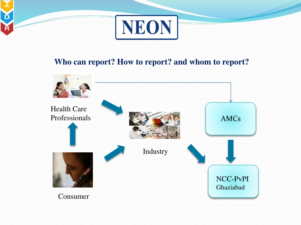 who can report how to report and whom to report
