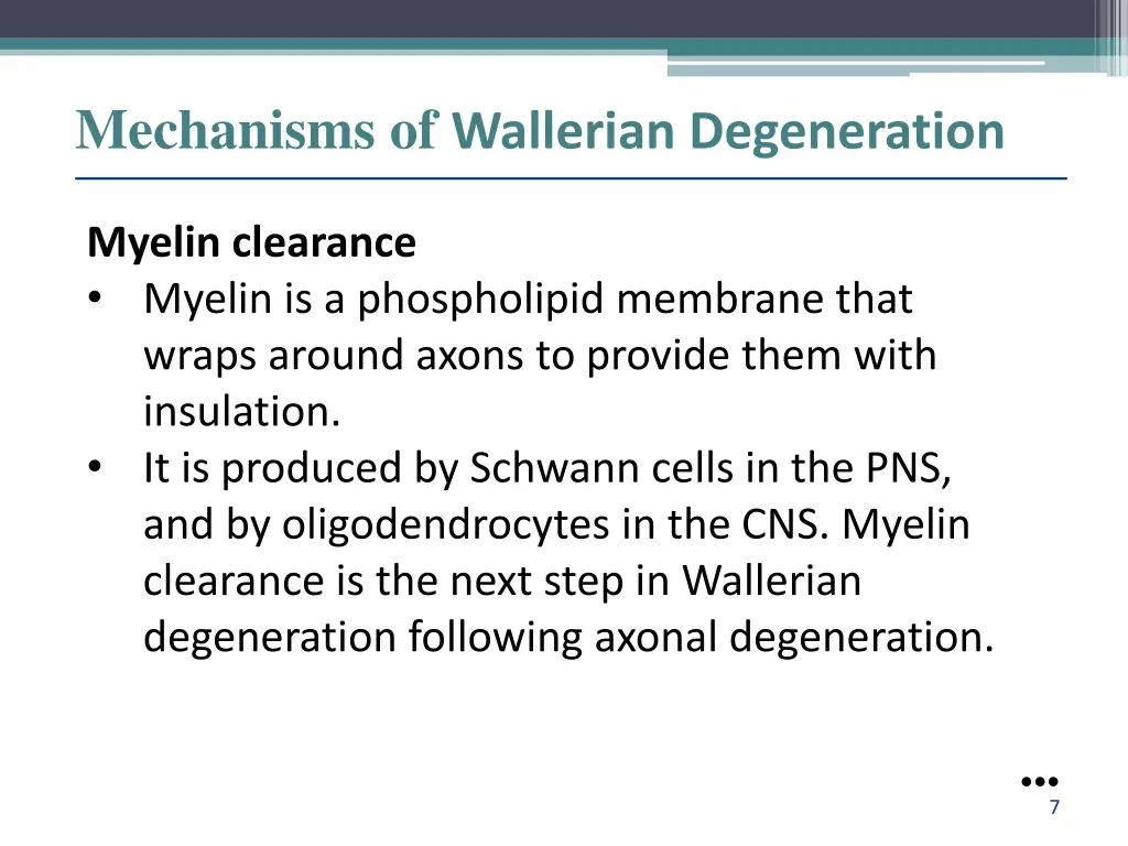 mechanisms of wallerian degeneration 1