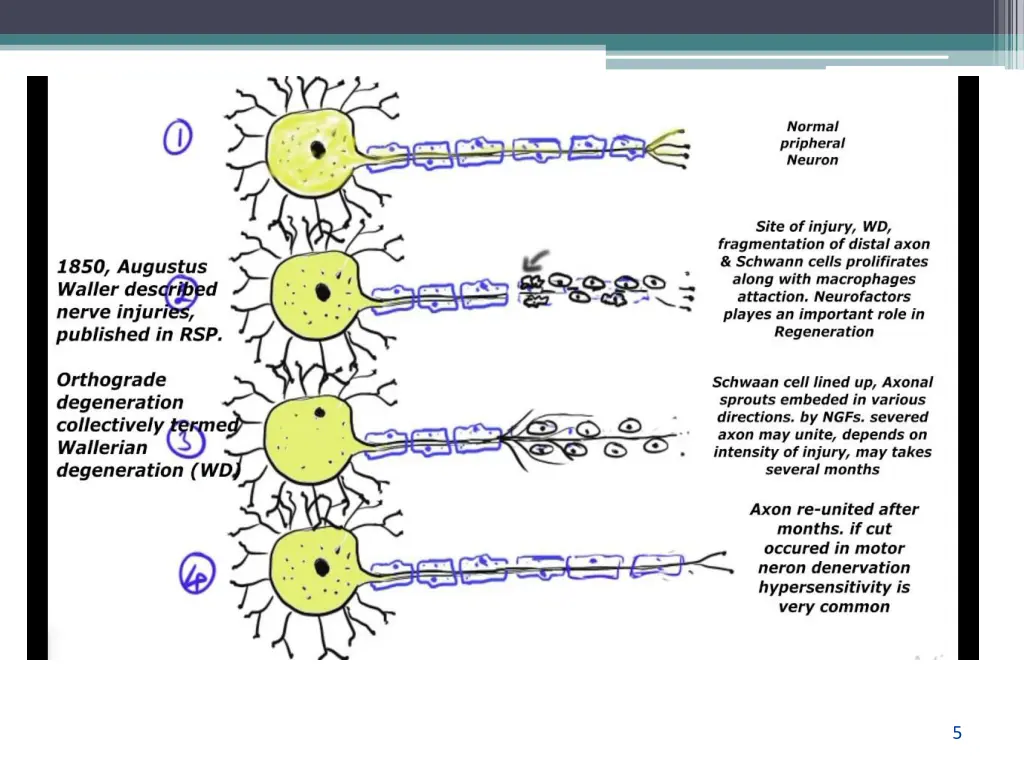 slide5