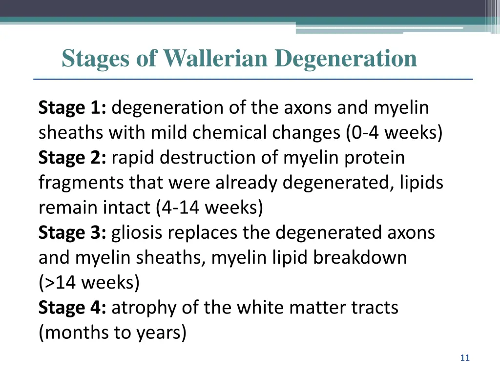 stages of wallerian degeneration