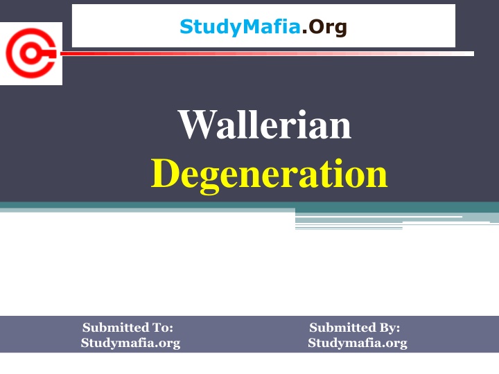 studymafia org