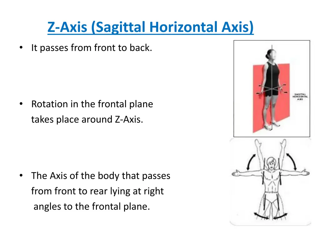 z axis sagittal horizontal axis it passes from