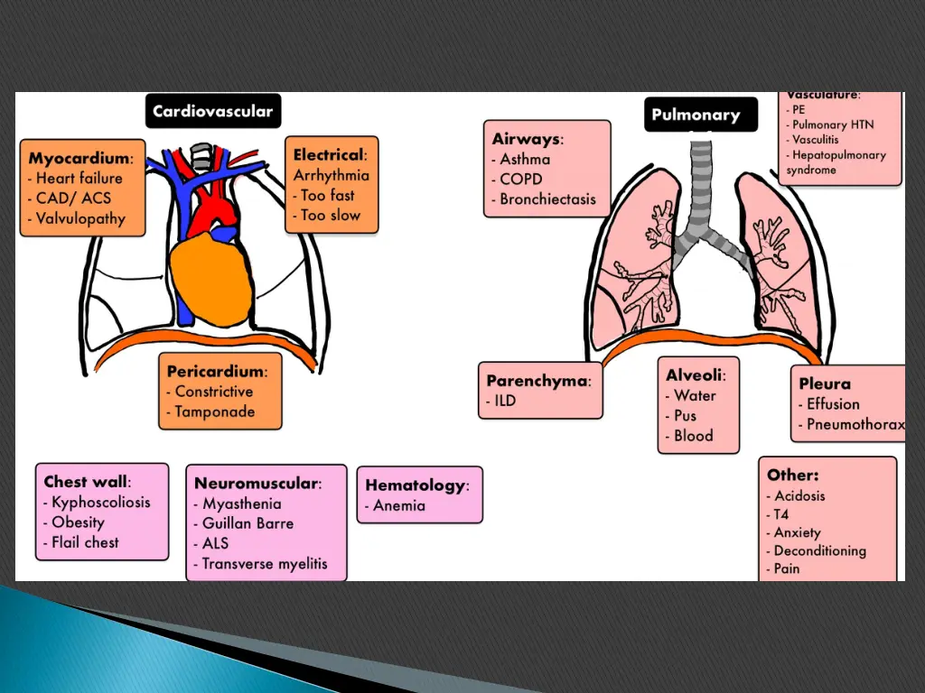 slide21