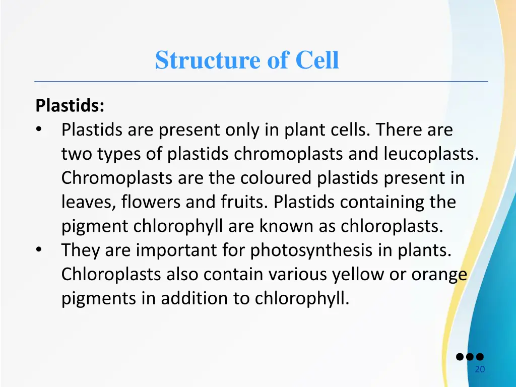 structure of cell 10