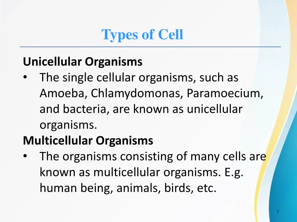 types of cell
