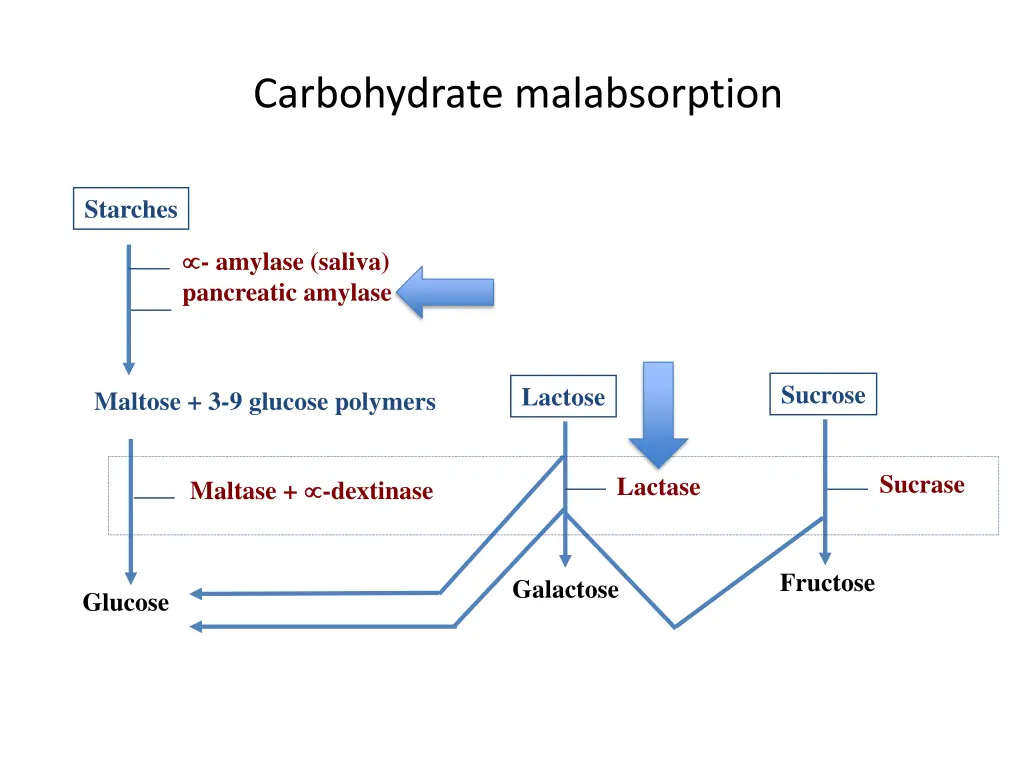 carbohydrate malabsorption