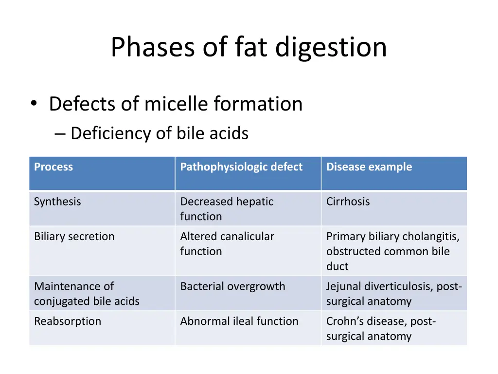 phases of fat digestion 2