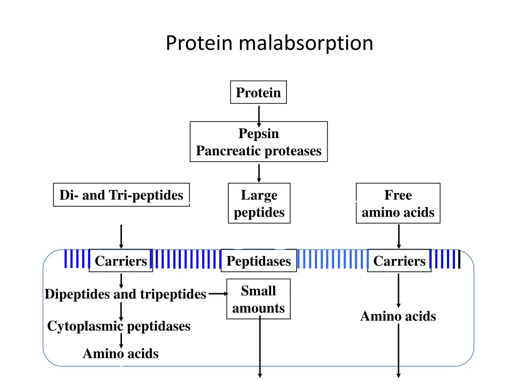 protein malabsorption