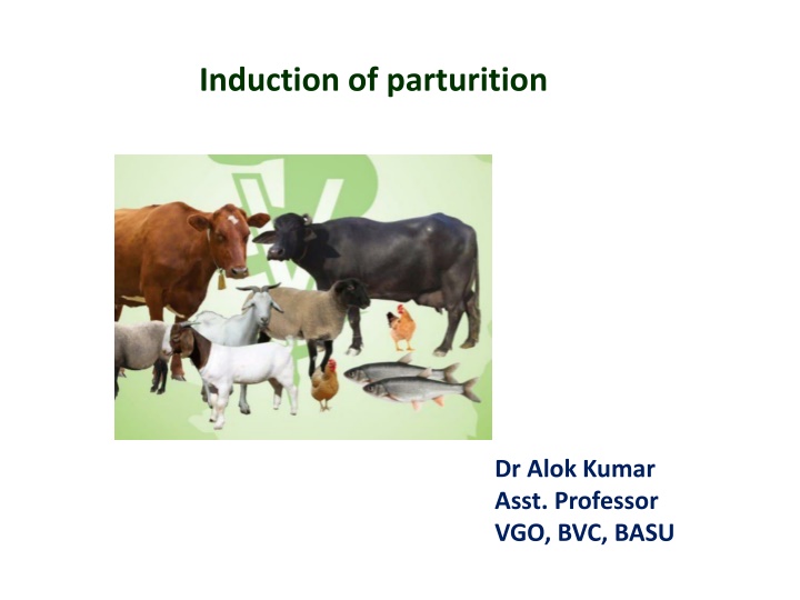 induction of parturition