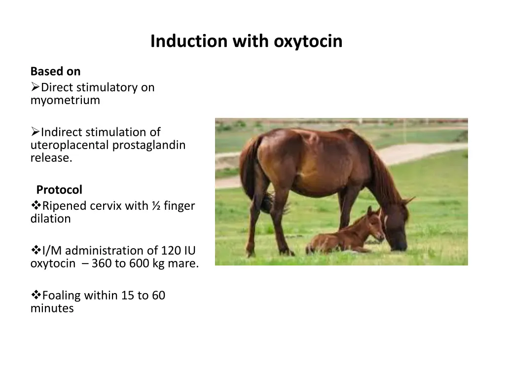 induction with oxytocin