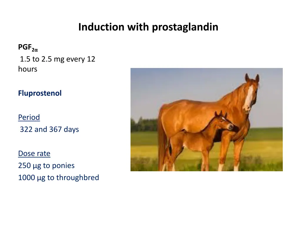 induction with prostaglandin