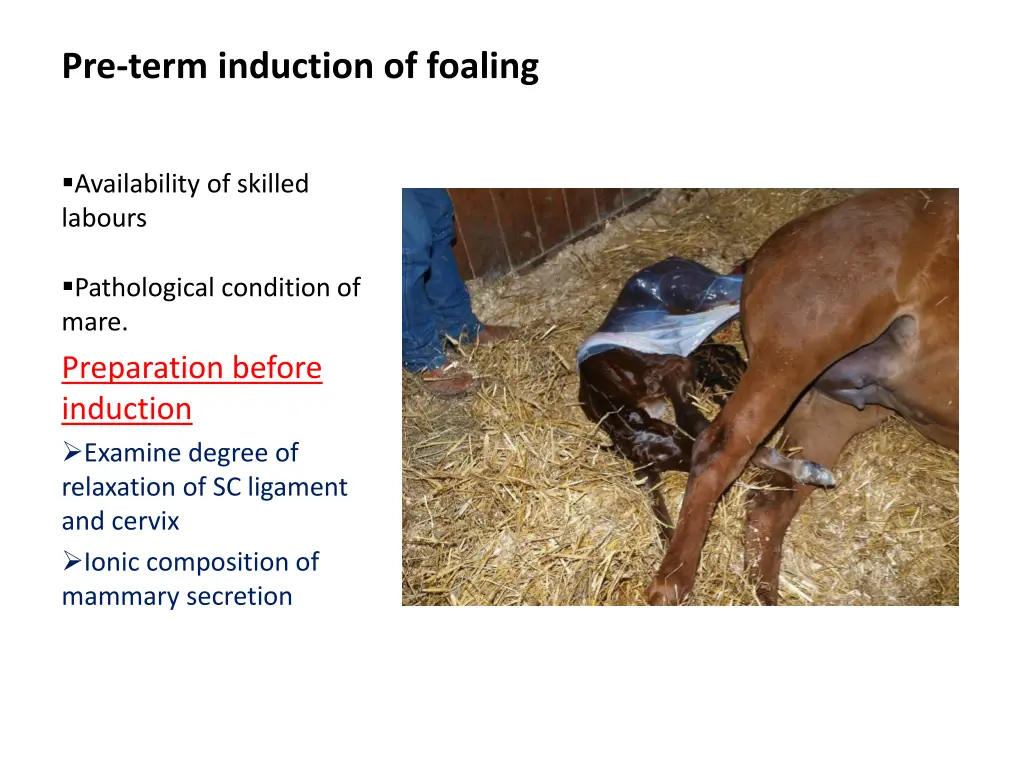 pre term induction of foaling