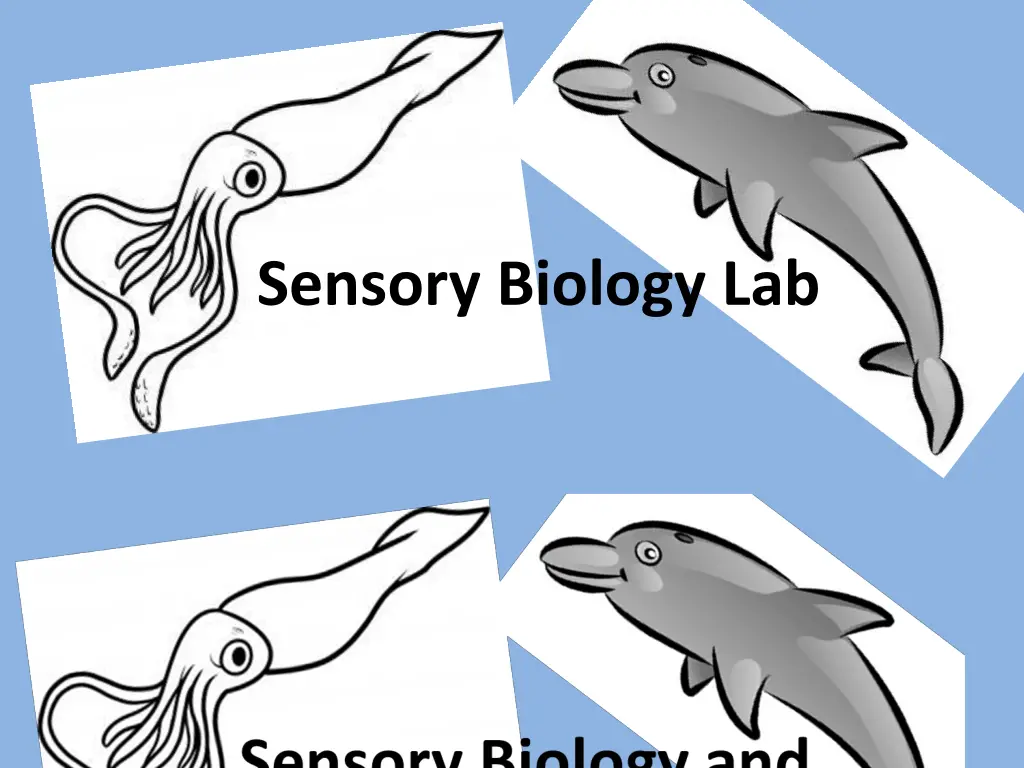 sensory biology lab