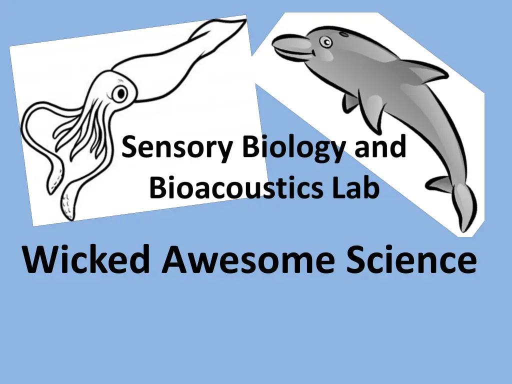 wicked awesome science