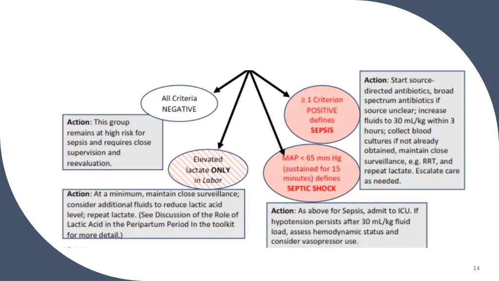 slide14