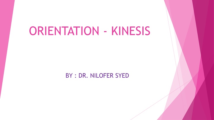 orientation kinesis