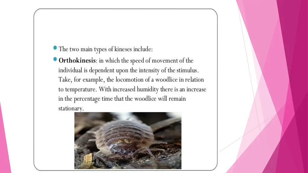 slide3