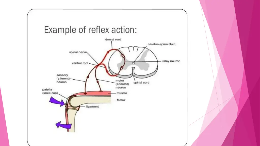 slide7