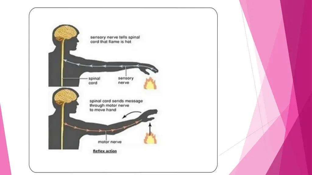 slide8