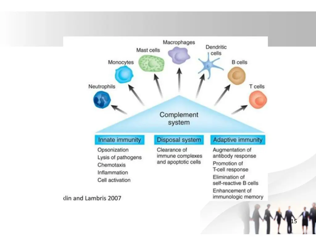 slide15