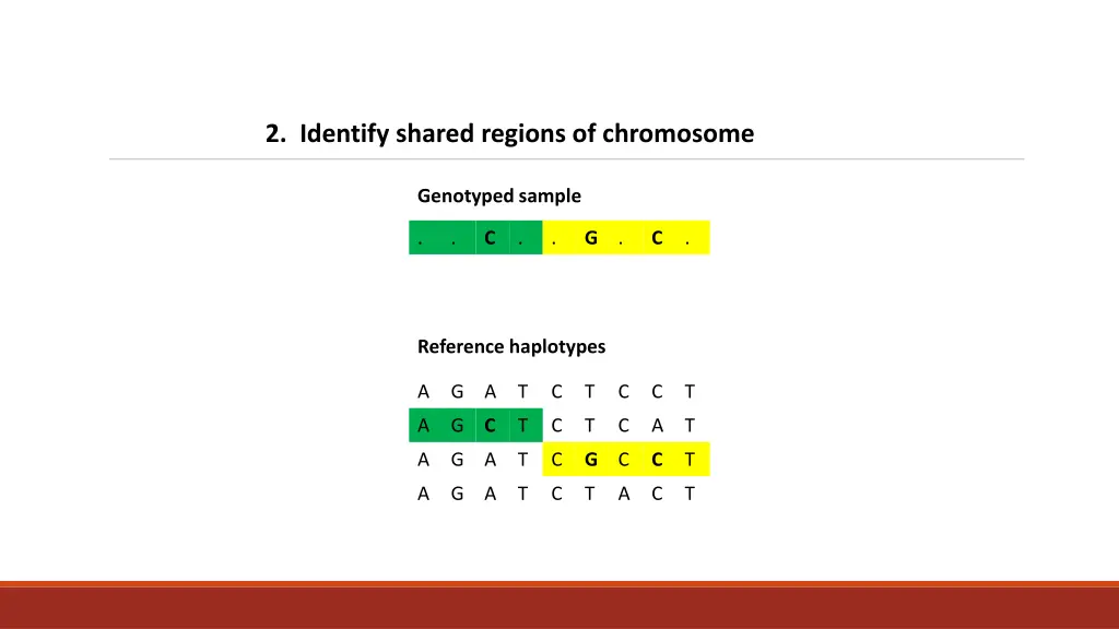 2 identify shared regions of chromosome