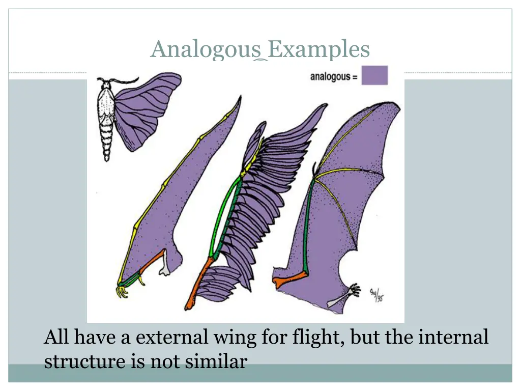 analogous examples