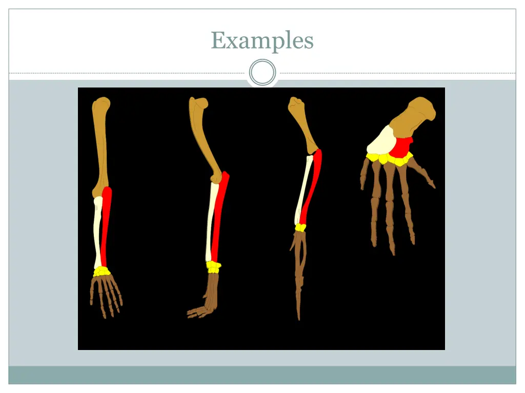 examples