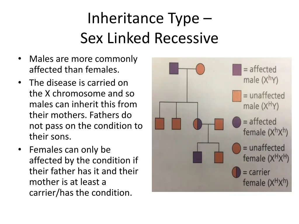 inheritance type sex linked recessive