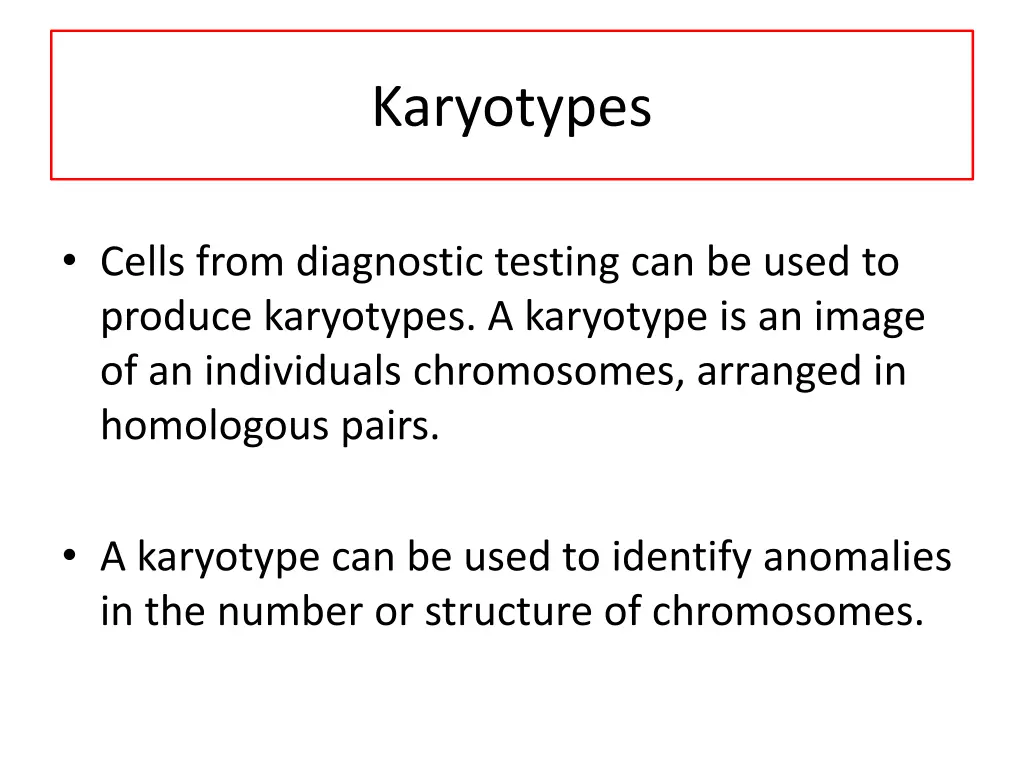 karyotypes