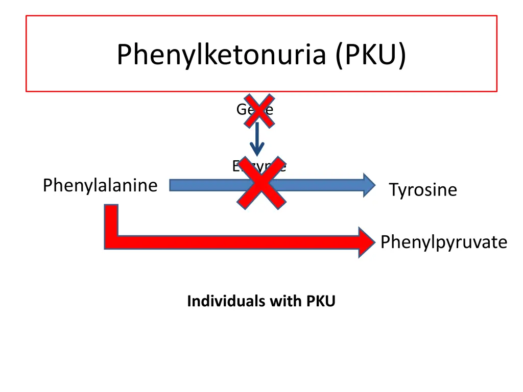 phenylketonuria pku 2