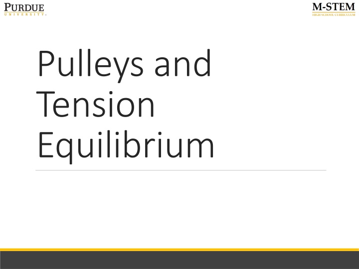 pulleys and tension equilibrium